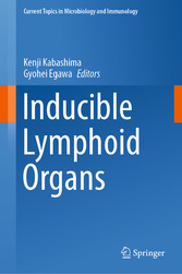 Inducible Lymphoid Organs