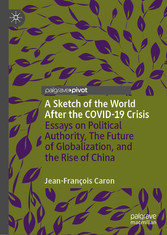 A Sketch of the World After the COVID-19 Crisis