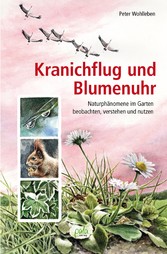 Kranichflug und Blumenuhr