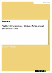 Welfare Evaluation of Climate Change and Future Disasters