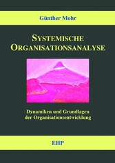 Systemische Organisationsanalyse