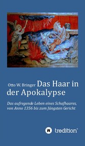 Das Haar in der Apokalypse