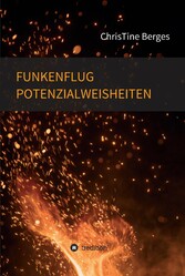 Funkenflug Potenzialweisheiten