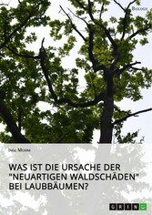 Was ist die Ursache der 'Neuartigen Waldschäden' bei Laubbäumen?