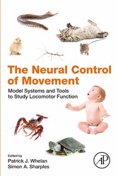 The Neural Control of Movement