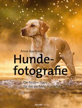 Hundefotografie