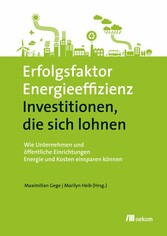 Erfolgsfaktor Energieeffizienz - Investitionen, die sich lohnen