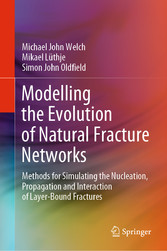 Modelling the Evolution of Natural Fracture Networks