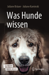 Was Hunde wissen