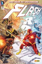 Flash - Bd. 3: Die Rogues