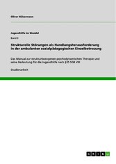 Strukturelle Störungen als Handlungsherausforderung in der ambulanten sozialpädagogischen Einzelbetreuung