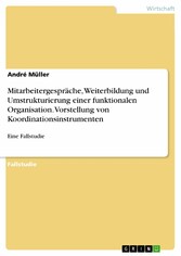 Mitarbeitergespräche, Weiterbildung und Umstrukturierung einer funktionalen Organisation. Vorstellung von Koordinationsinstrumenten