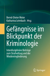 Gefängnisse im Blickpunkt der Kriminologie