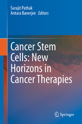 Cancer Stem Cells: New Horizons in Cancer Therapies