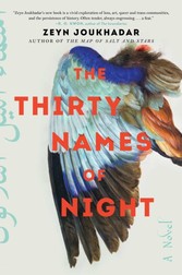 Thirty Names of Night