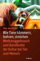 Wie Tiere hämmern, bohren, streichen