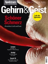 Gehirn&Geist 12/2020 Schöner Schmerz