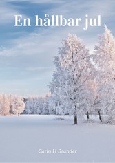 En hållbar jul