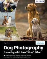 Dog Photography