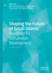 Shaping the Future of Small Islands