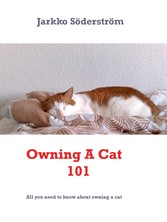 Owning A Cat 101