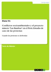 Conflictos socioambientales y el proyecto minero 'Las Bambas' en el Perú. Estudio de caso de las protestas