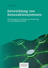 Entwicklung von Kennzahlensystemen