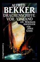 Drachenschiffe vor Vinland