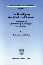 Die Beendigung des Arbeitsverhältnisses.