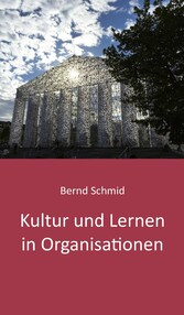 Kultur und Lernen in Organisationen