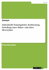 Individuelle Trainingslehre. Krafttestung, Erstellung eines Makro- und eines Mesozyklus