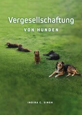 Vergesellschaftung von Hunden