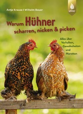 Warum Hühner scharren, nicken und picken