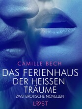 Das Ferienhaus der heißen Träume - Zwei erotische Novellen