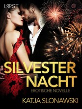 Silvesternacht: Erotische Novelle