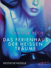 Das Ferienhaus der heißen Träume: Erotische Novelle