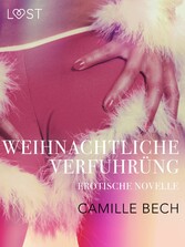 Weihnachtliche Verführung: Erotische Novelle