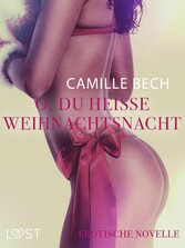 O, du heiße Weihnachtsnacht: Erotische Novelle