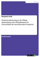 Professionalisierung in der Pflege. Einrichtung einer Pflegekammer in Deutschland im internationalen Vergleich