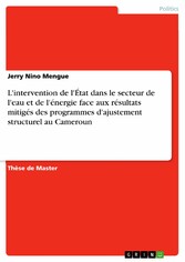 L'intervention de l'État dans le secteur de l'eau et de l'énergie face aux résultats mitigés des programmes d'ajustement structurel au Cameroun