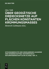 Über geodätische Dreiecksnetze auf Flächen konstanten Krümmungsmaßes