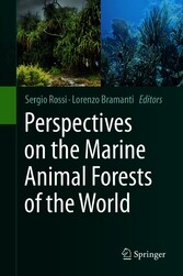 Perspectives on the Marine Animal Forests of the World