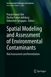 Spatial Modeling and Assessment of Environmental Contaminants