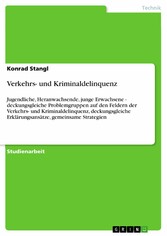 Verkehrs- und Kriminaldelinquenz