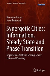 Synergetic Cities: Information, Steady State and Phase Transition