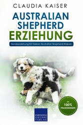 Australian Shepherd Erziehung