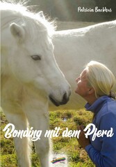 Bonding mit dem Pferd