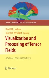 Visualization and Processing of Tensor Fields