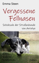 Vergessene Fellnasen - Schicksale der Straßenhunde von Antalya - Nach wahren Erlebnissen