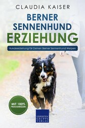 Berner Sennenhund Erziehung